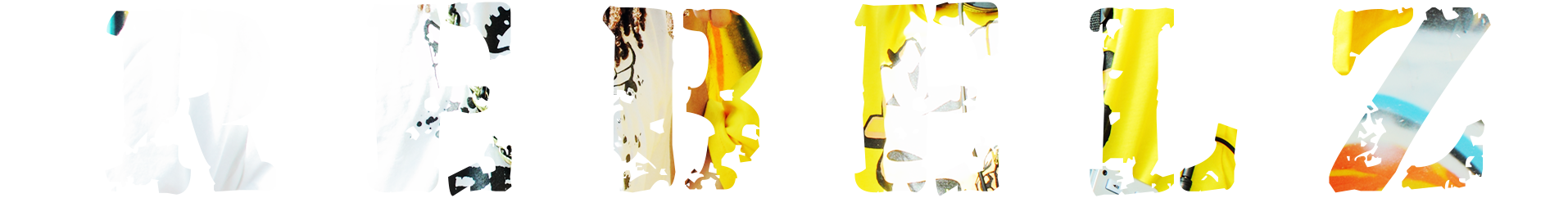 Logo 1